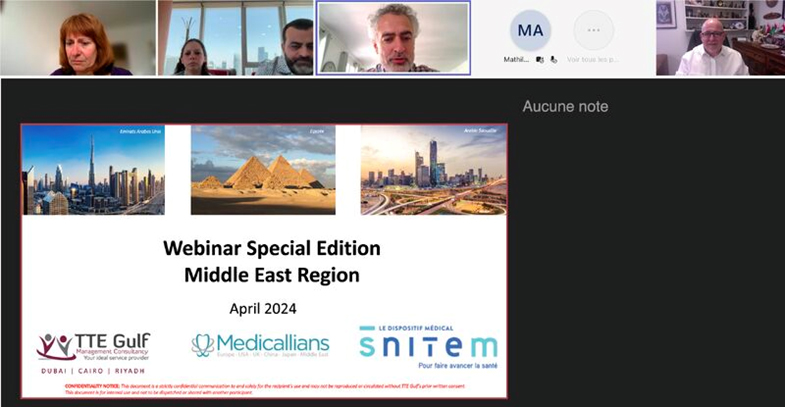 Webinar on the Middle East and Egypt for SNITEM Members